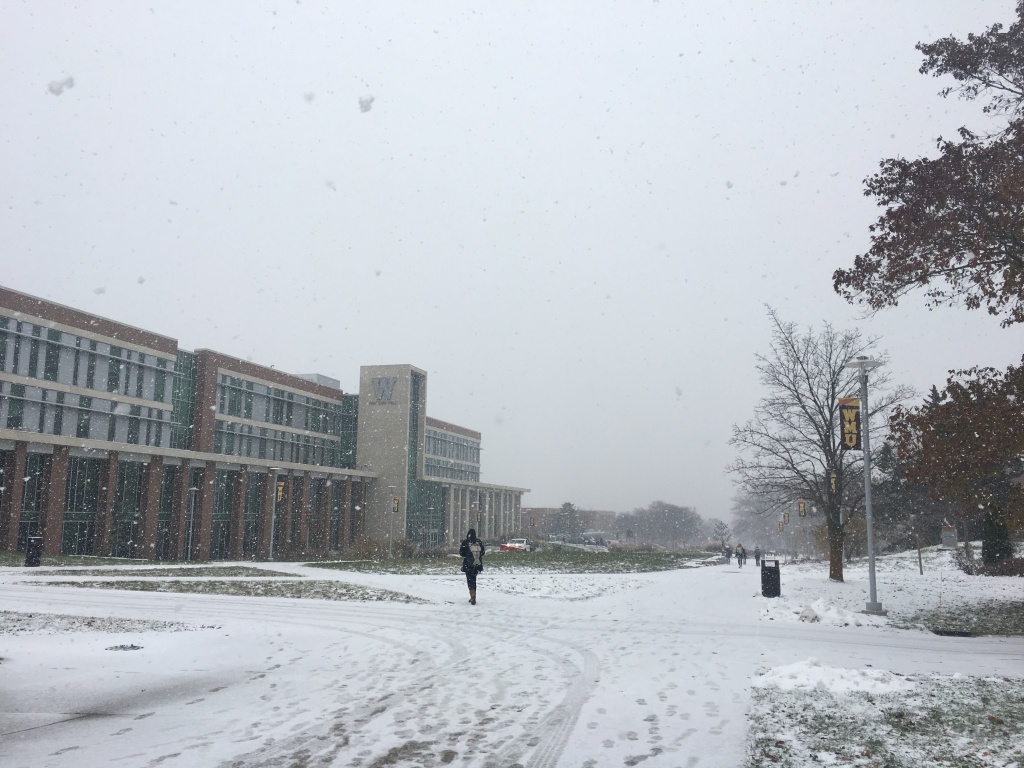 カラマズーでの初雪。今はもっと積もっています。