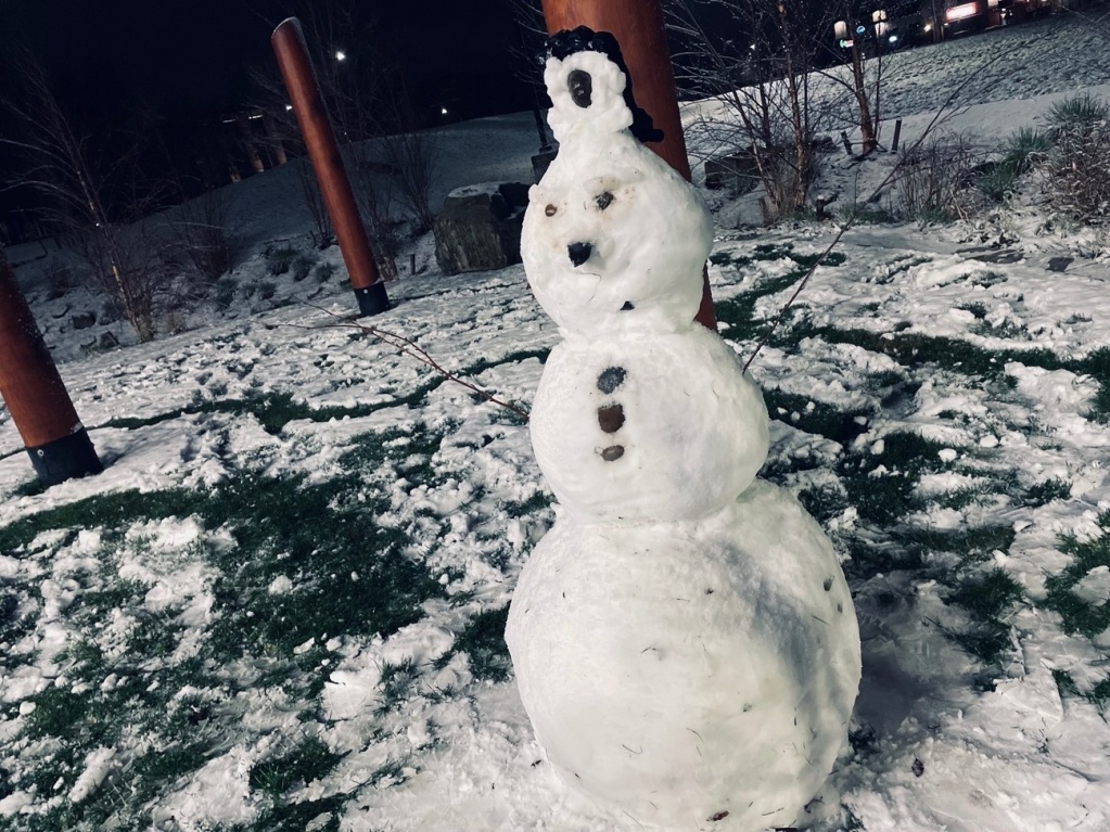 雪の積もった直後に作った雪だるま