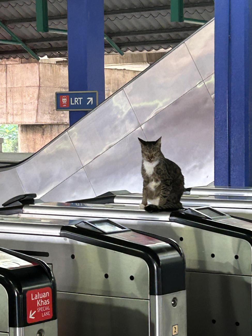 最寄駅の風景