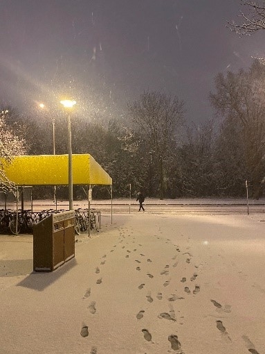 寮から見た雪景色