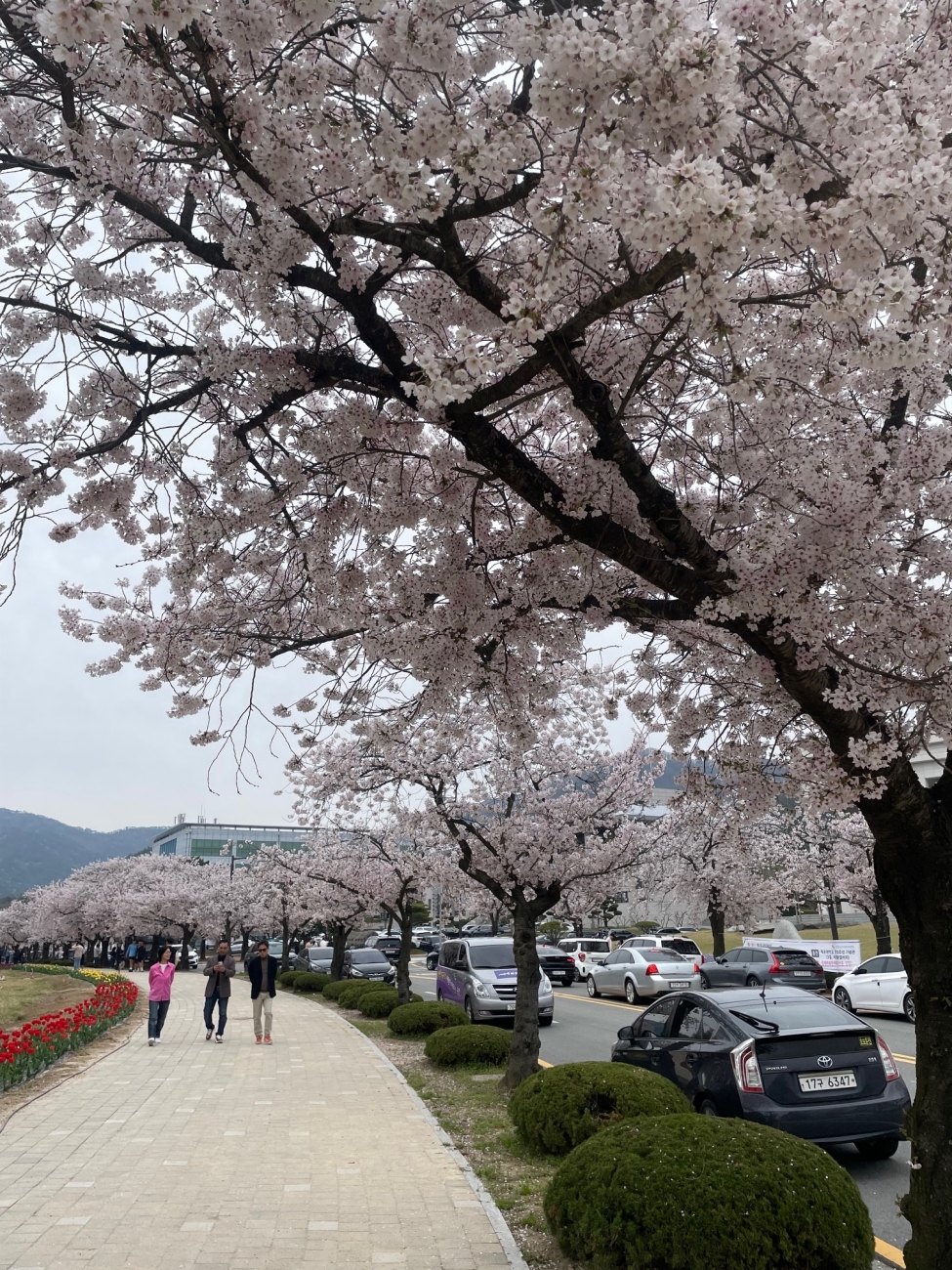 学校内の景色