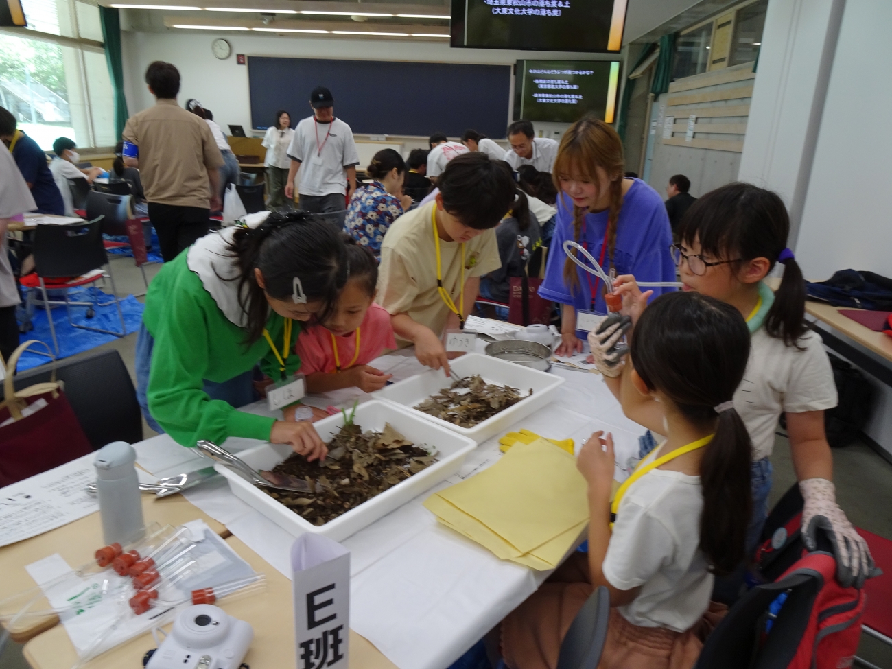 埼玉県・大東文化大学の土と東京都・東京家政大学の土を比較しながら虫を探します。