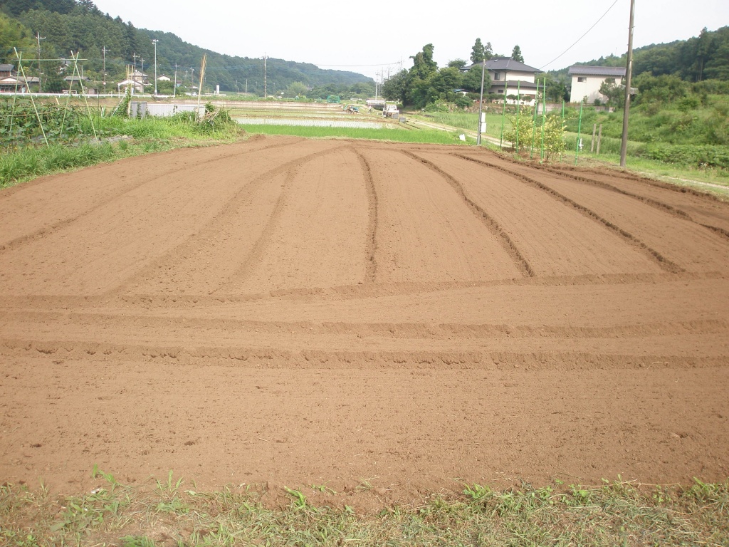 完璧なコンディション