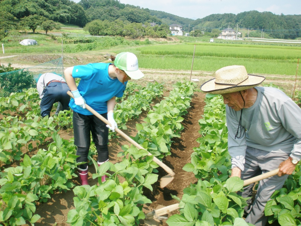 草カキを使って