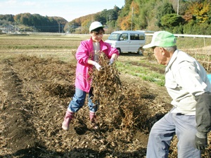 島立てに挑戦