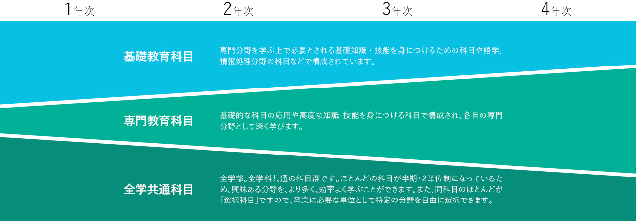 4年間のカリキュラムに関する図